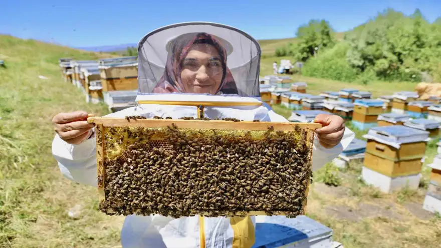 Ağrı'da Devlet desteğiyle arıcılığa başlayan kadın girişimci, yıl içinde tonlarca verim alıyor