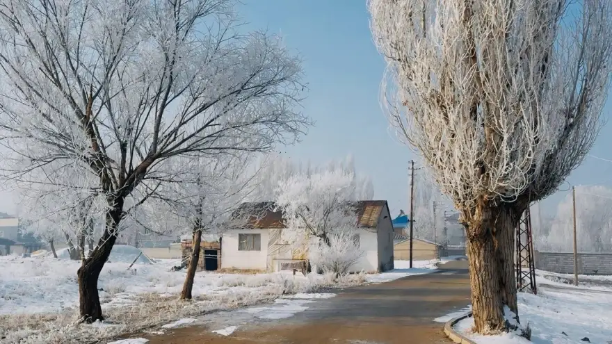 Ağrı’da dondurucu soğuk etkisini sürdürüyor