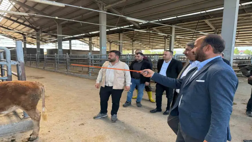 Belediye Başkanı canlı hayvan borsası ve et entegre tesisinde incelemelerde bulundu