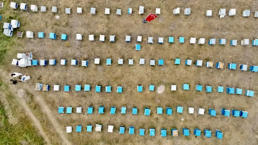 Ağrı’da kadınlar bal üretimine yöneliyor