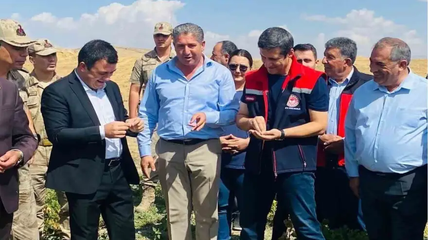 Patnos’ta fasulye hasadı başladı
