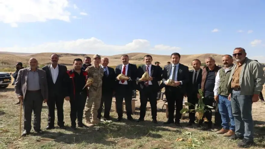 Tutak’ta şeker pancarı hasadı başladı