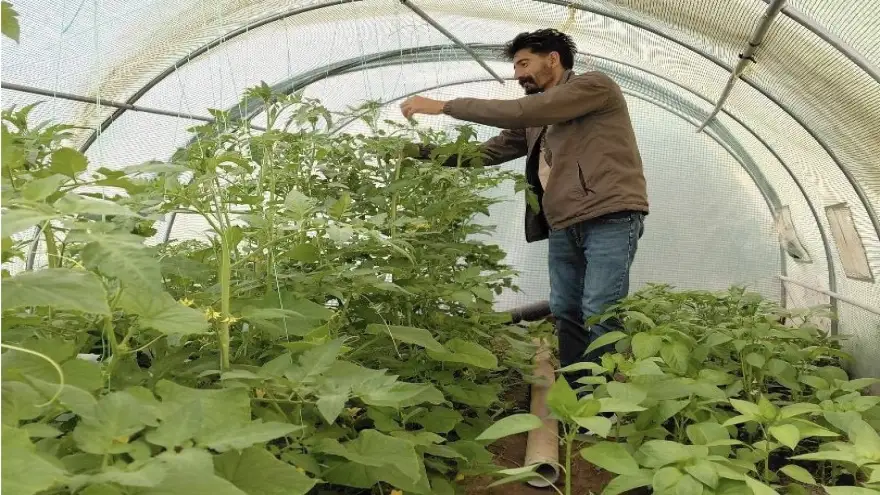 Berberlikten arta kalan zamanını doğaya ayırıyor