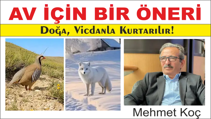 AV İÇİN BİR ÖNERİ