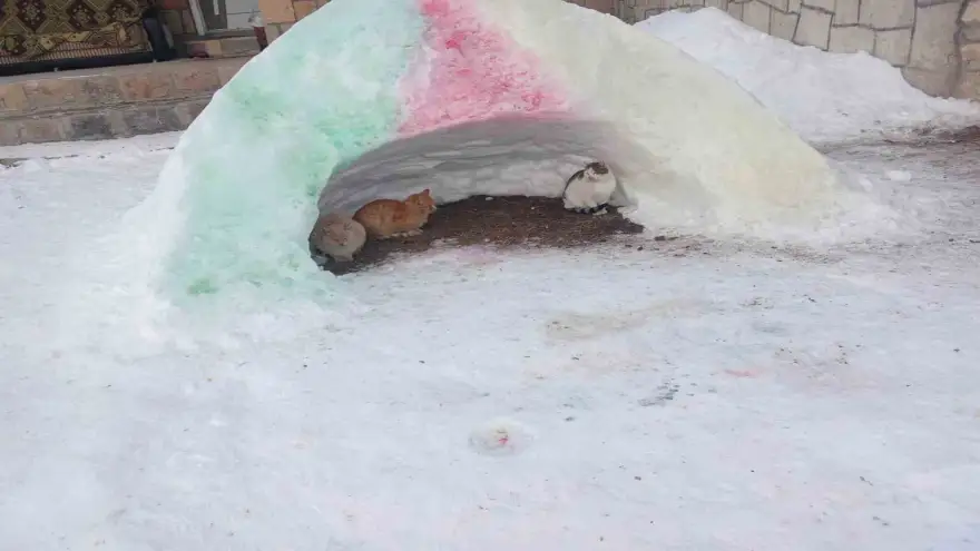 Diyadin’de hayvanlara kardan barınak