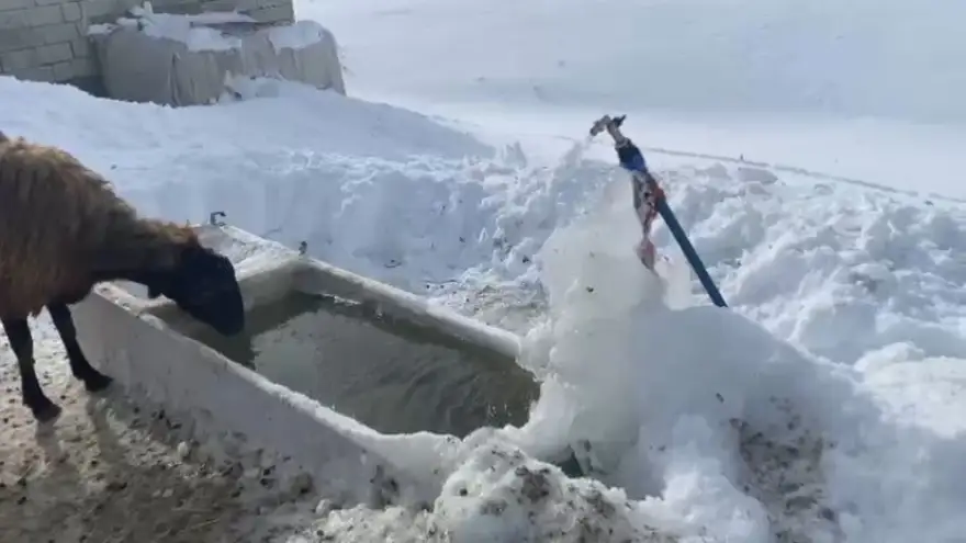 Ağrı’da soğuk hava etkisini göstermeye devam ediyor