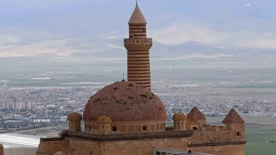 İshakpaşa Sarayı’nın kubbesindeki otlar ziyaretçilerin dikkatini çekti