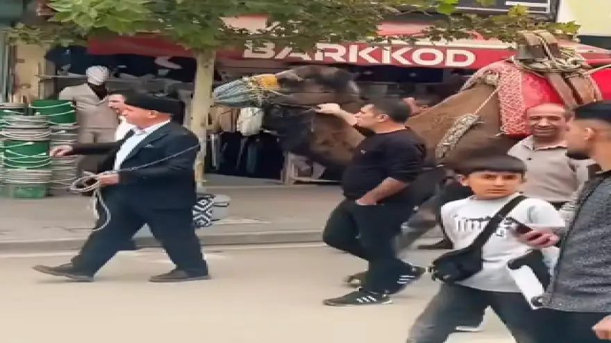 DOĞUBAYAZIT SOKAKLARINDA DİKKAT ÇEKEN GÖRÜNTÜ