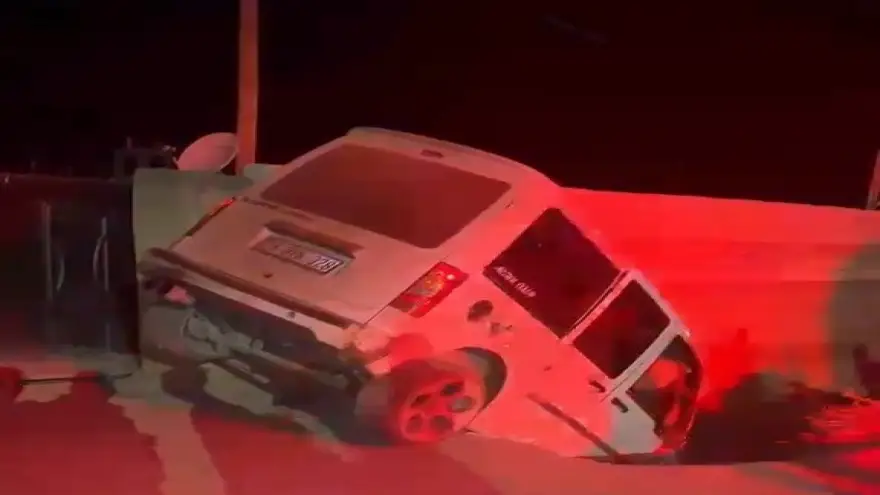Doğubayazıt’ta hayvanlara çarpan otomobildeki 3 kişi yaralandı