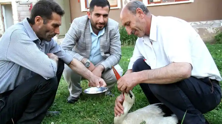 Arkadaşım Leylek

