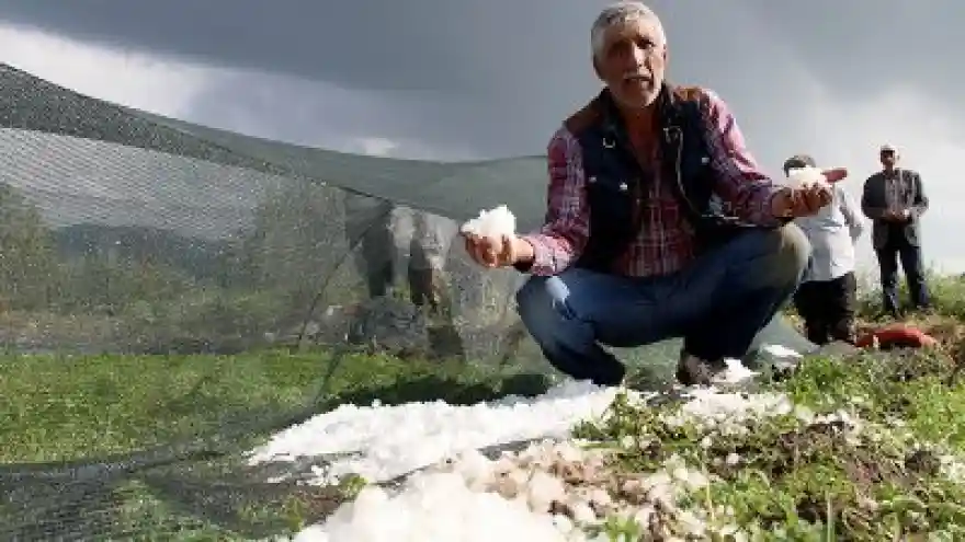 Erzurum'da Dolu Seraları Vurdu 
