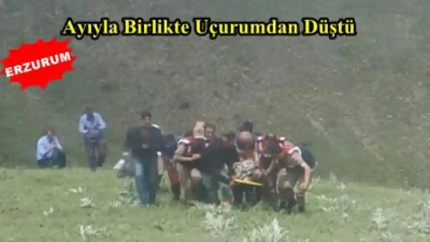 Ayıyla Birlikte Uçurumdan Düştü
