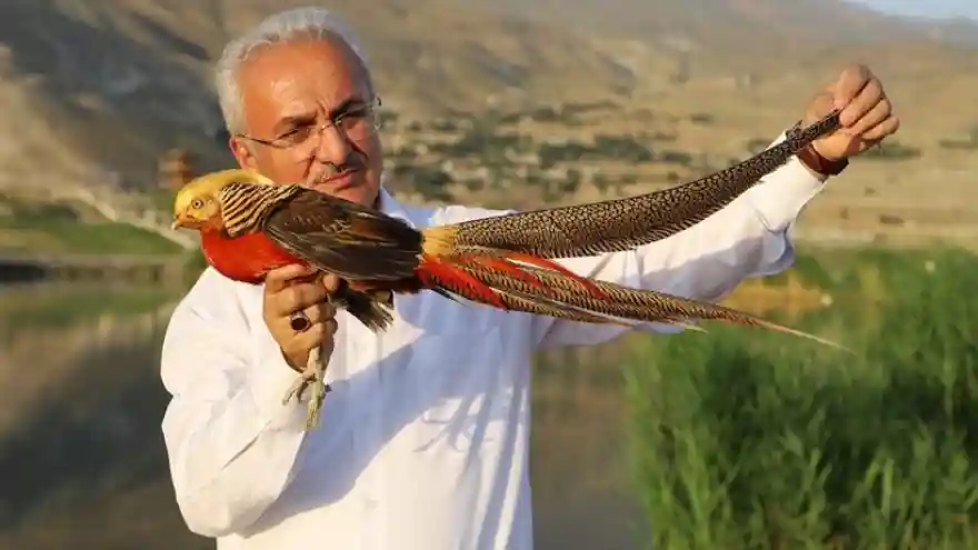 Kuş Türlerine Yuva Olacak
