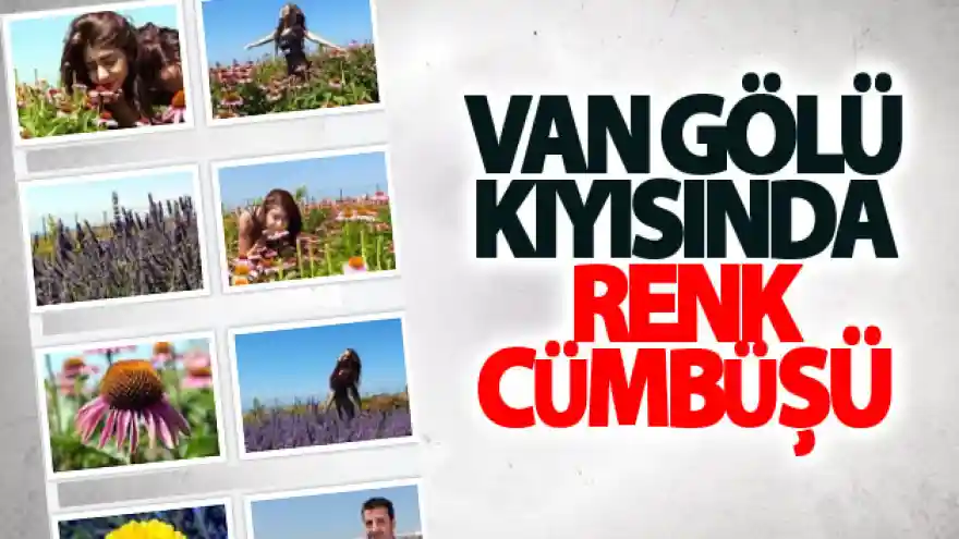 Van Gölü kıyısında renk cümbüşü
