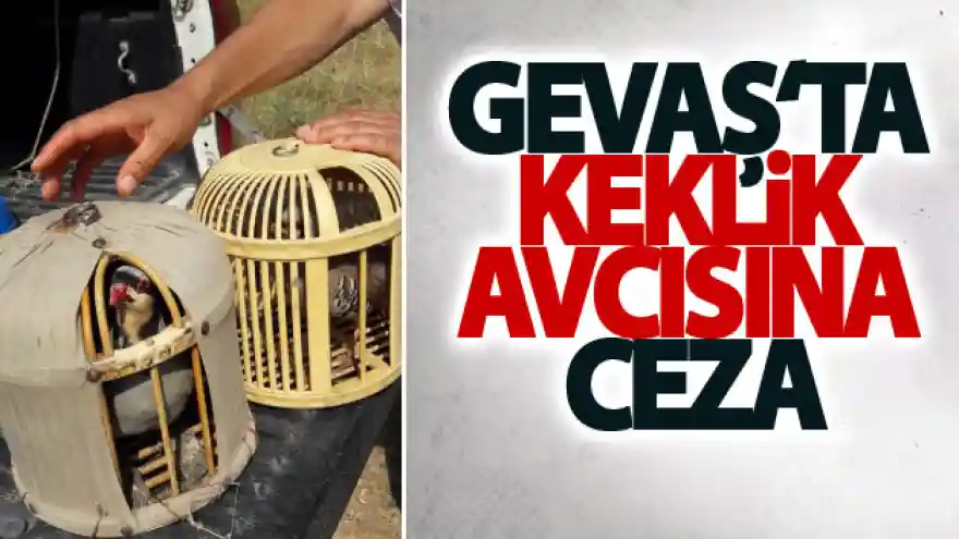 Gevaş ilçesinde keklik avcısına ceza

