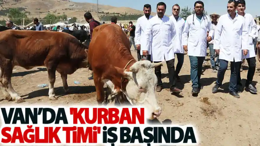 Van'da 'Kurban Sağlık Timi' iş başında
