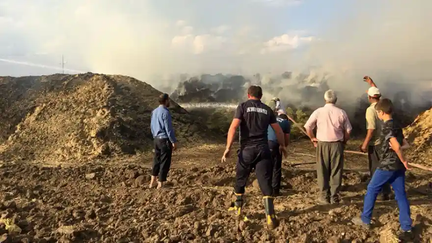 3 Bin Balya Ot Yandı
