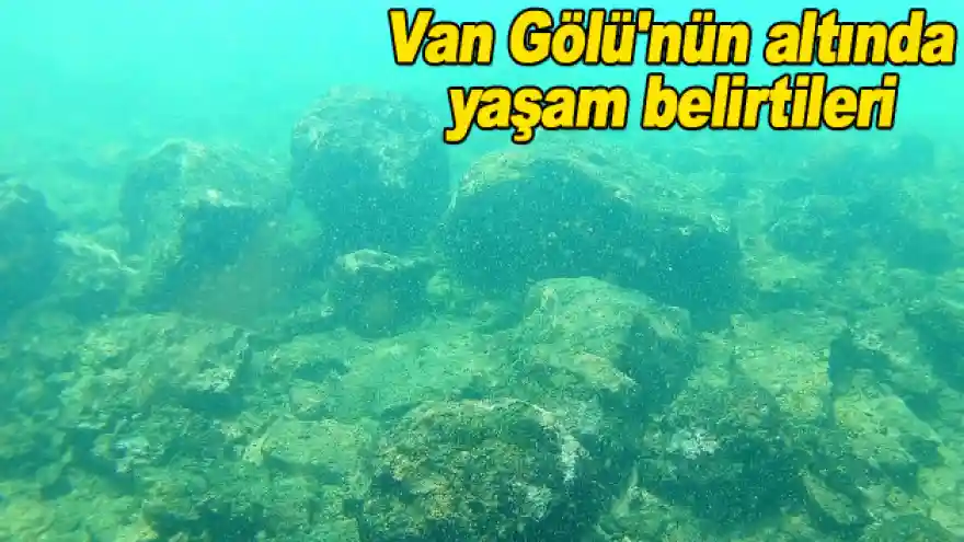 Van Gölü'nün altında yaşam belirtileri
