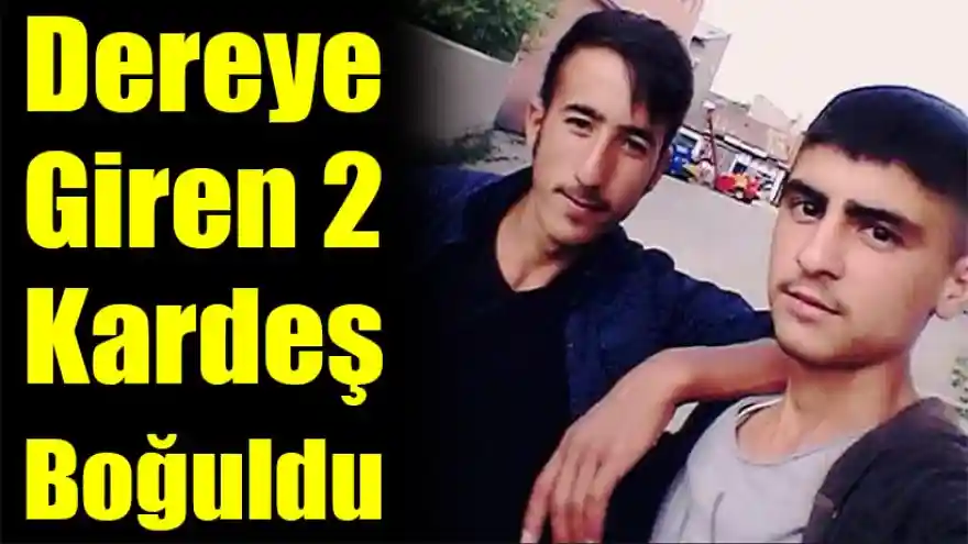 Ağrı'da Dereye Giren 2 Kardeş Boğuldu 
