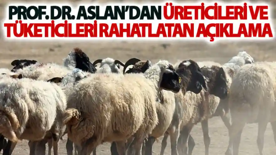 Prof. Dr. Aslan'dan üreticileri ve tüketicileri rahatlatan açıklama
