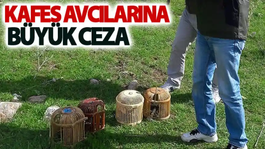 Kafes avcılarına büyük ceza
