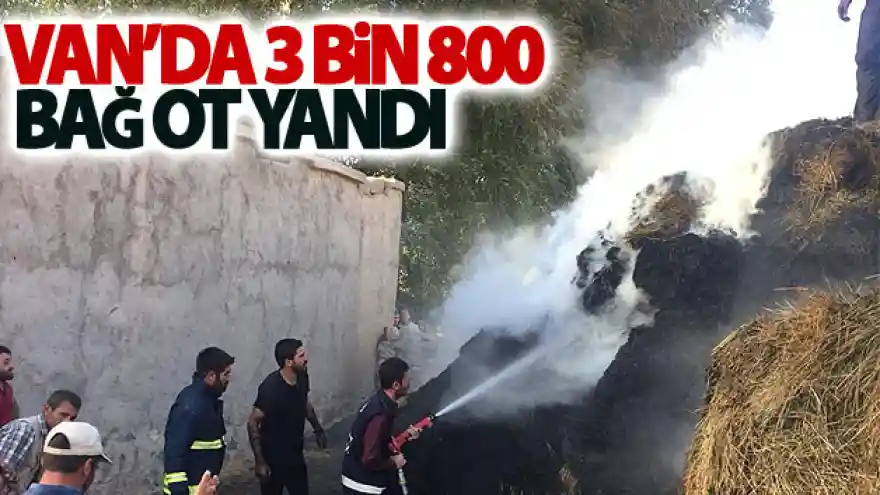 Van'da 3 bin 800 bağ ot yandı
