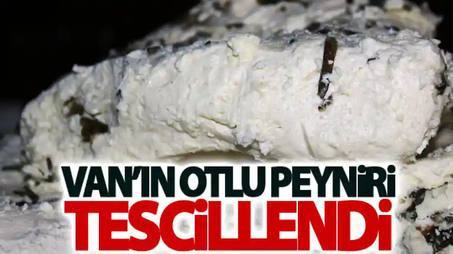Van'ın otlu peyniri tescillendi