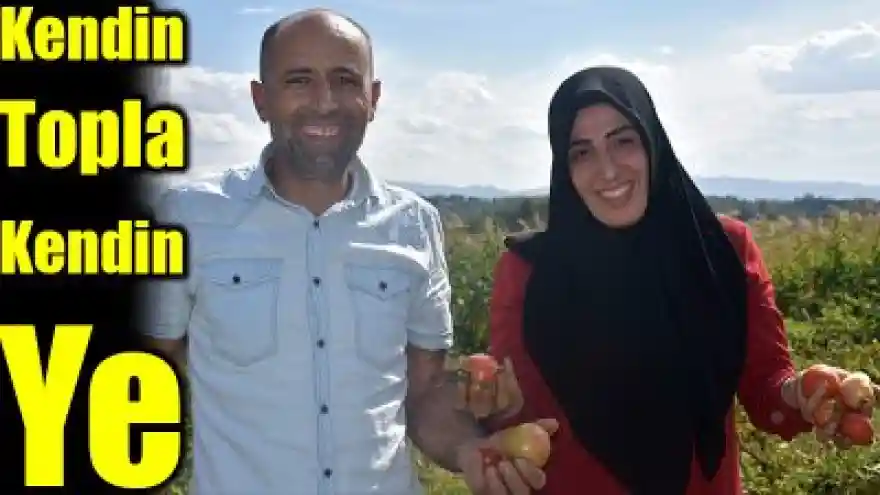 Kendin Topla Kendin Ye
