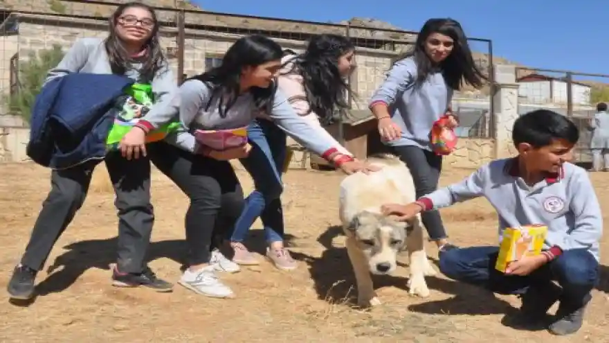 Harçlıklarıyla Köpeklere Mama Aldılar

