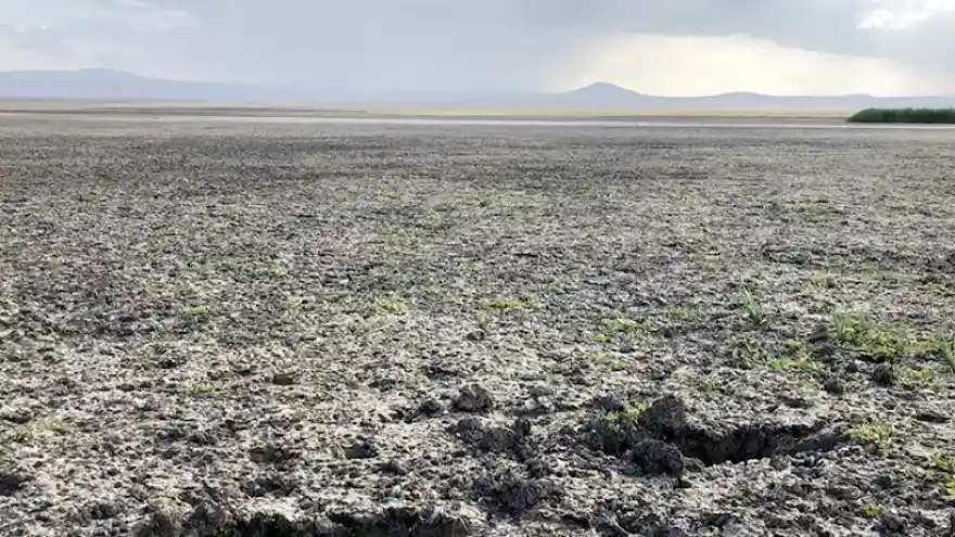 Kuş Cenneti'ne Su Aranıyor
