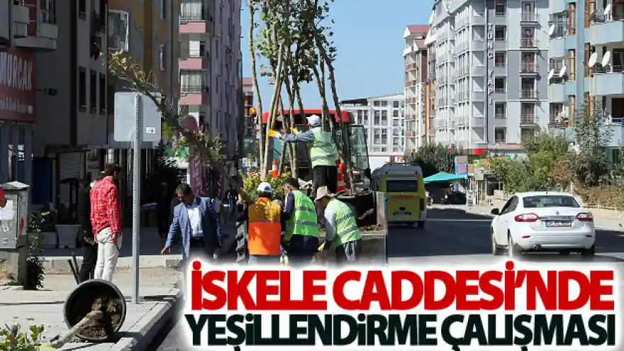 İskele Caddesi'nde yeşillendirme çalışması
