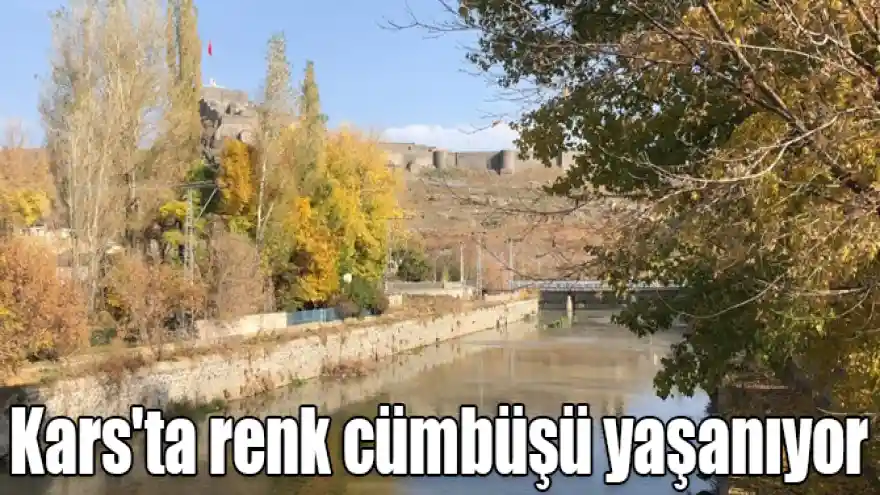 Kars'ta renk cümbüşü yaşanıyor
