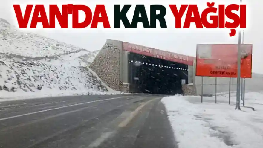 Van'da kar yağışı
