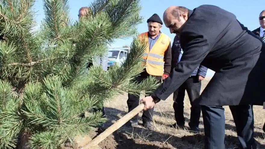 Aziziye İlçesi Yeşile Doyacak
