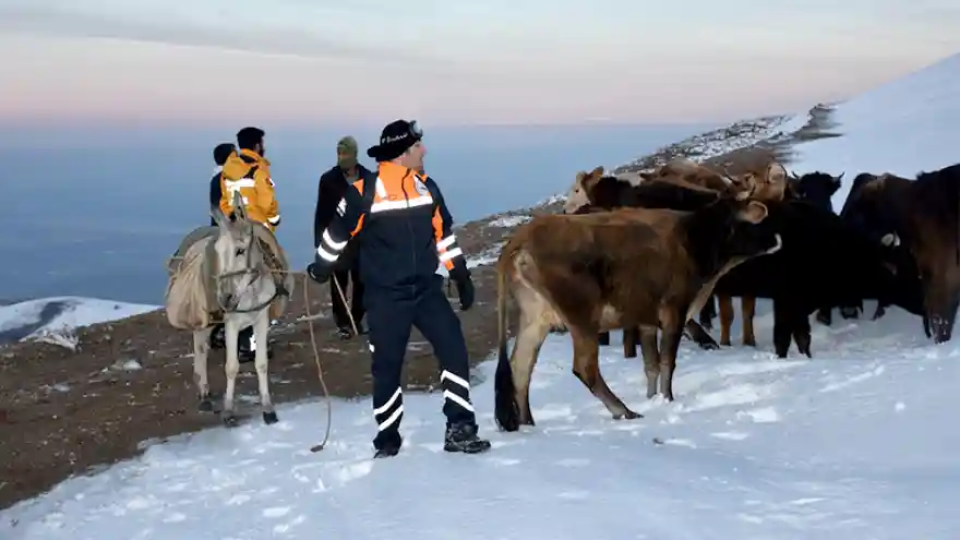 Dondurucu Soğukta Can Pazarı 
