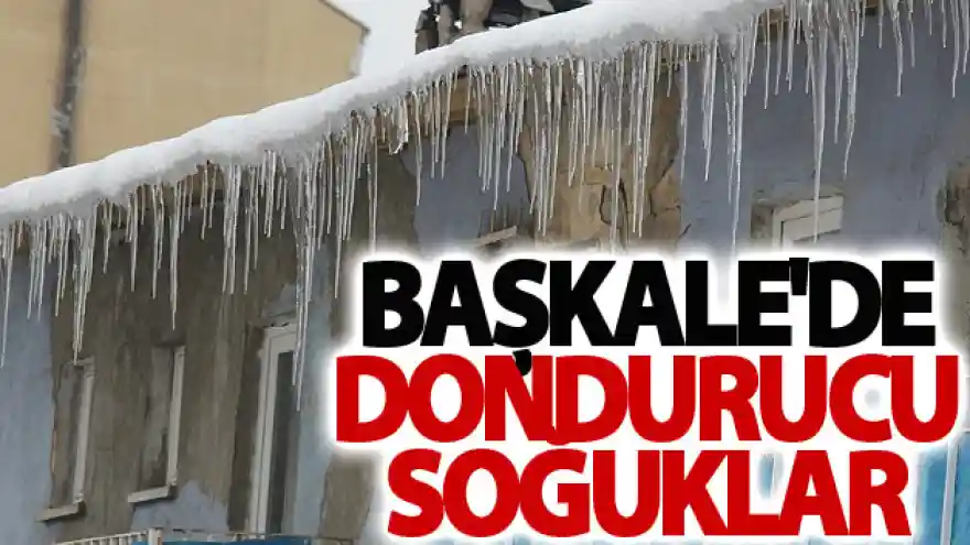 Başkale'de dondurucu soğuklar
