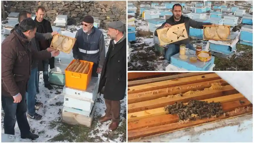 Kafkas Arıları -35'e Dayanabiliyor
