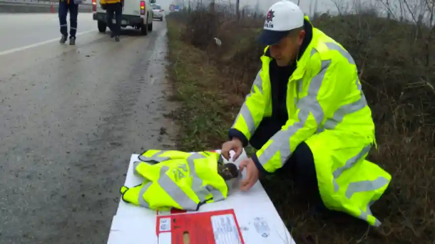 Polis memuru, yaralı şahinin üzerine yeleğini örttü
