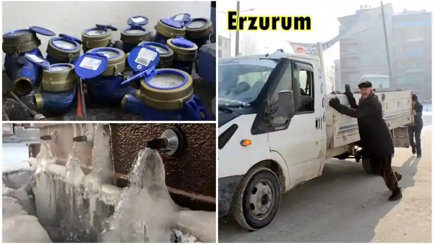 Kutup Soğukları Hayatı Dondurdu 
