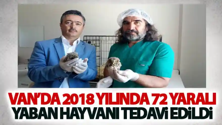 Van'da 2018 yılında 72 yaralı yaban hayvanı tedavi edildi