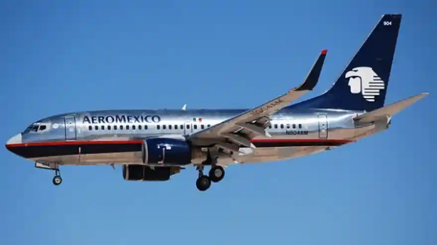 Havayolu şirketi AeroMexico'dan 'DNA kampanyası': Ne kadar Meksikalıysan o kadar indirim