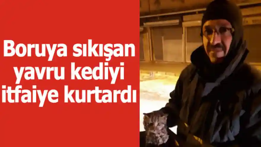 Boruya sıkışan yavru kediyi itfaiye kurtardı
