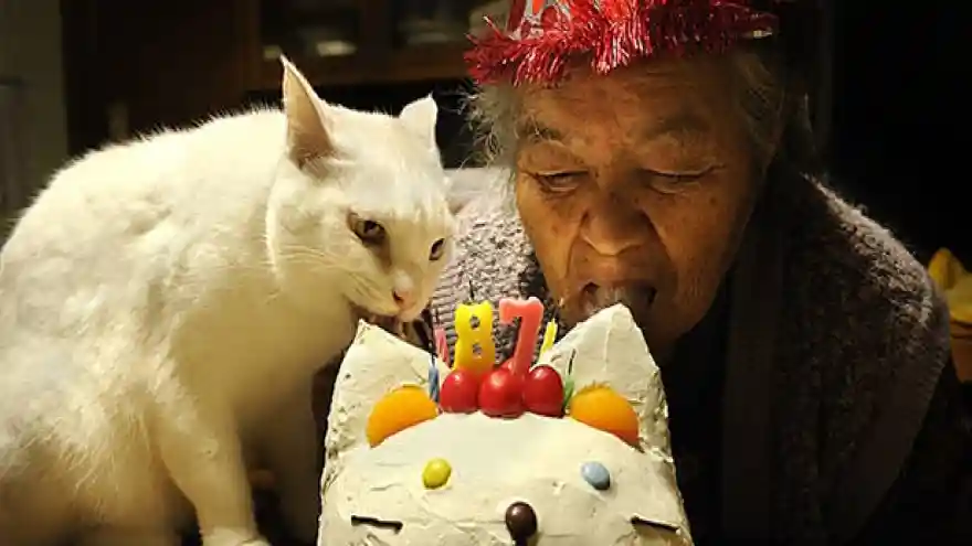 İtalya'da evcil hayvanlar sahipleriyle birlikte gömülebilecek
