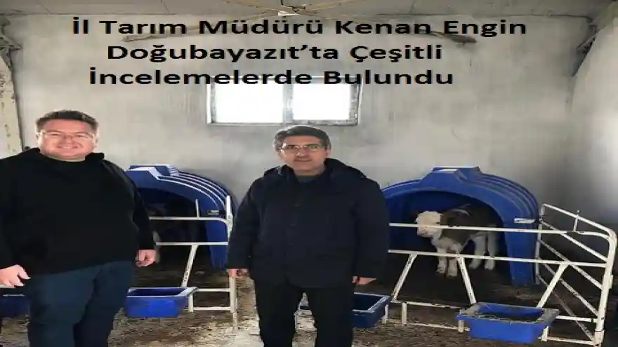İl Tarım Müdürü Kenan Engin Doğubayazıt'ta Çeşitli İncelemelerde Bulundu