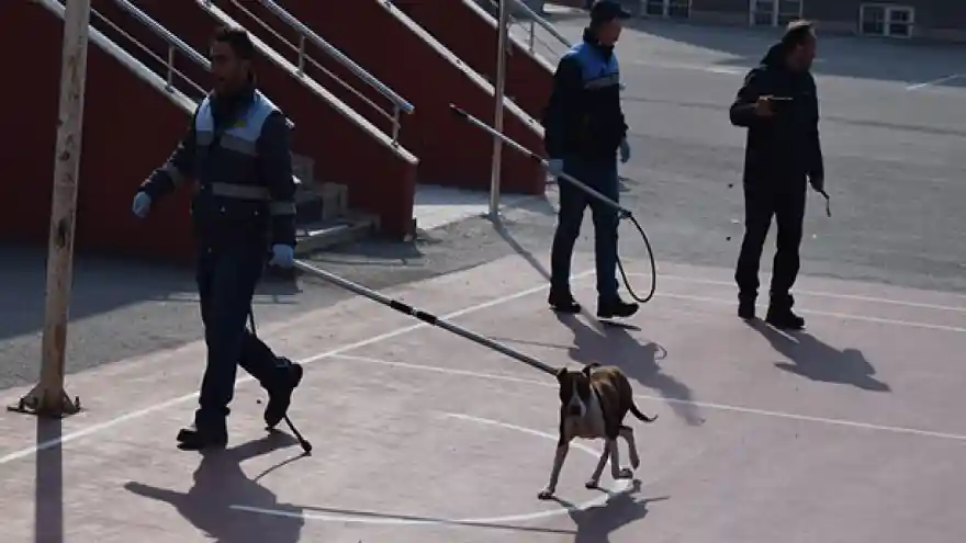 Okula giren köpek 5 öğrenciyi hastanelik etti
