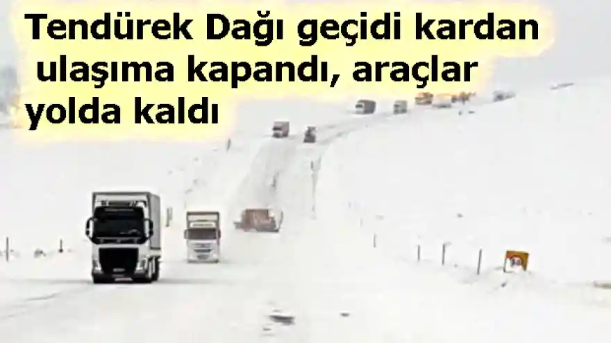 Tendürek Dağı geçidi kardan ulaşıma kapandı, araçlar yolda kaldı