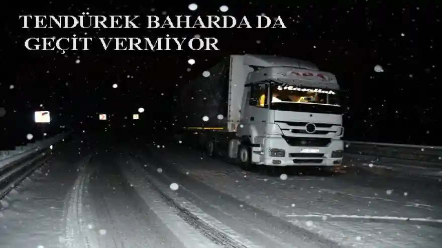 TENDÜREK BAHARDA DA GEÇİT VERMİYOR

