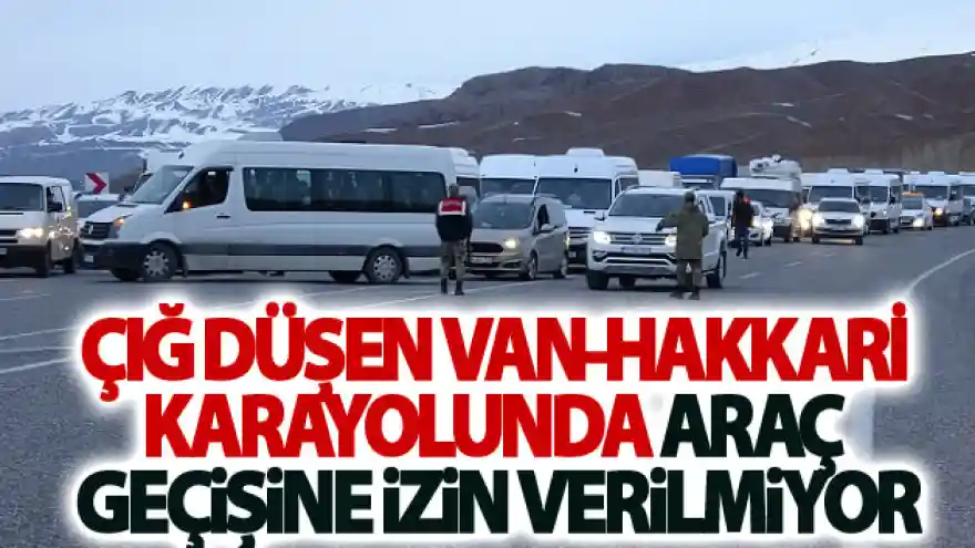 Çığ düşen Van-Hakkari karayolunda araç geçişine izin verilmiyor
