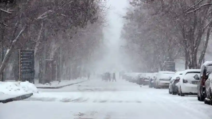 Erzurum'da Kar Yağışı