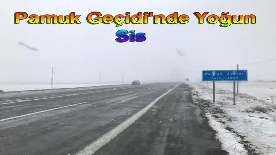 Pamuk Geçidi'nde Yoğun Sis